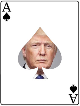 Donald had the Trump card: Donald Trump wins US 2016 election